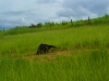 dsc01040s
