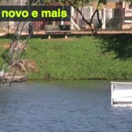 kickerzinho novo e mais